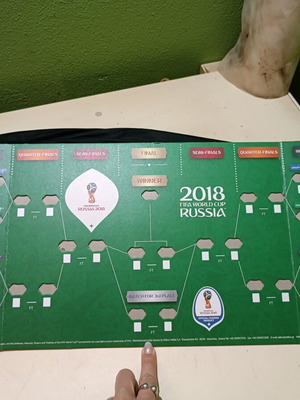 FIFA 2018 World Cup 3D Cardboard Collectible Board like new