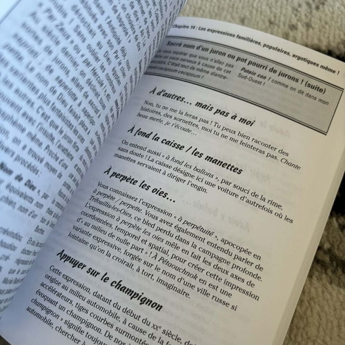 Book Les Expressions francaises pour les nuls like new
