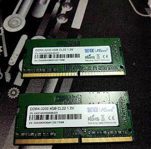 8GB RAM (DDR4 3200 SO-DIMM 2x4GB)