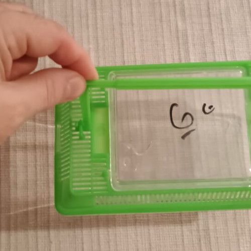 Mini plastic aquarium new with feeding window and island base