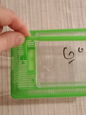 Mini plastic aquarium new with feeding window and island base