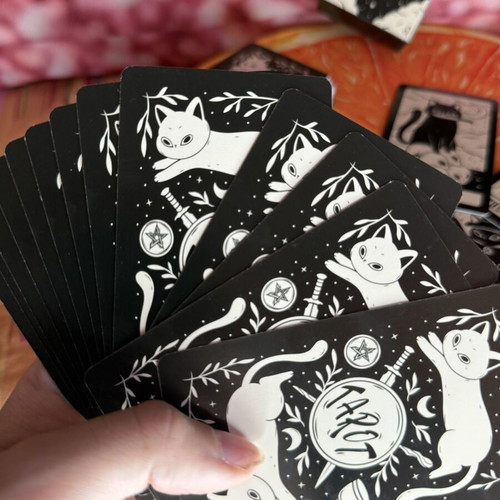 Kitten Tarot card deck like new, black and white cat illustrations