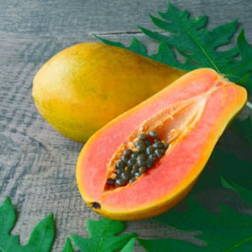 Papaya seeds pack of 30, new, exotic tropical plant