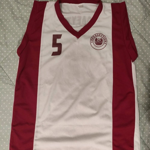 Proodeftiki Basketball Jersey new