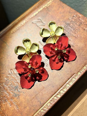 Two pairs of earrings used
