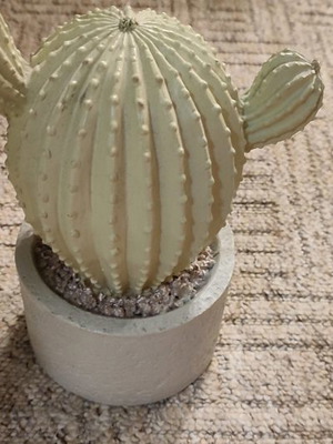 Decorative cactus with battery
