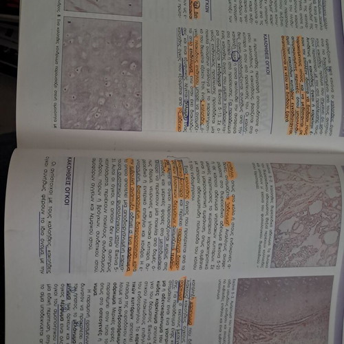 Basic Pathological Anatomy Volume 1 used, Greek
