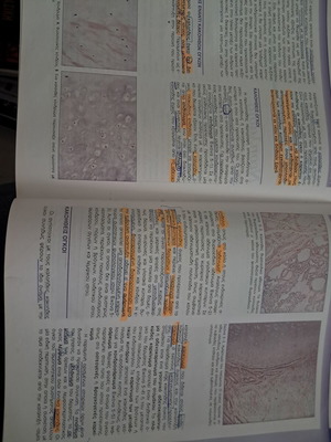 Basic Pathological Anatomy Volume 1 used, Greek