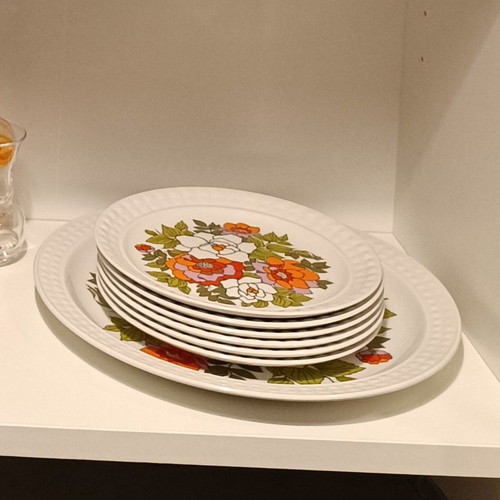 Vintage Pontesa Spain dessert and fruit set 7 pieces used, ironstone floral