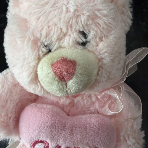 Pink plush teddy bear