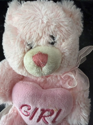 Pink plush teddy bear