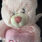 Pink plush teddy bear