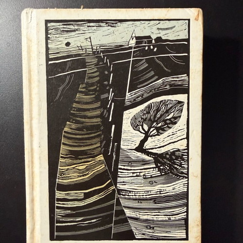 Great Expectations by Charles Dickens used, White’s Fine Pocket Classic 2010