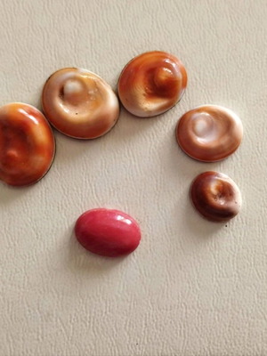 Sea eyes and coral new for jewelry, set of 6 pieces