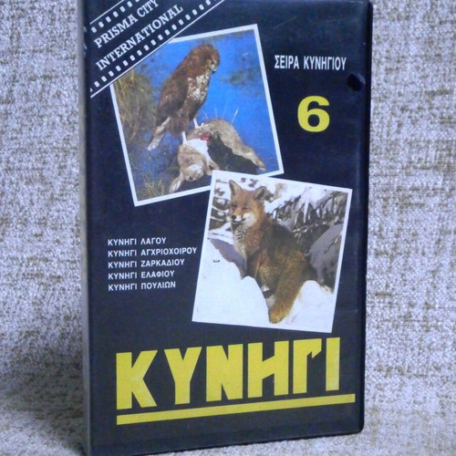 Hunting VHS used, vintage rental video cassette