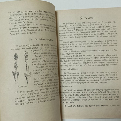Physical History Grade 6 Used Book from the 1960s