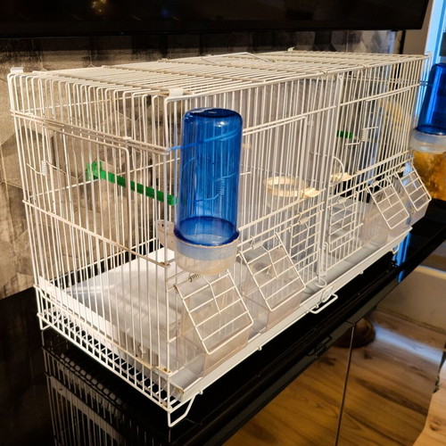 Metal double bird cage 60×25×33 cm with feeders and perches
