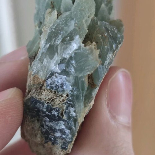 Prasios new, unique rich specimen for collection