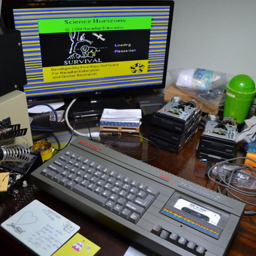 Sinclair ZX Spectrum 48K Survival cassette