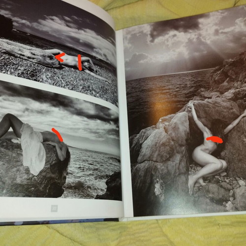 Les 20 meilleurs photographes de nu book like new, French