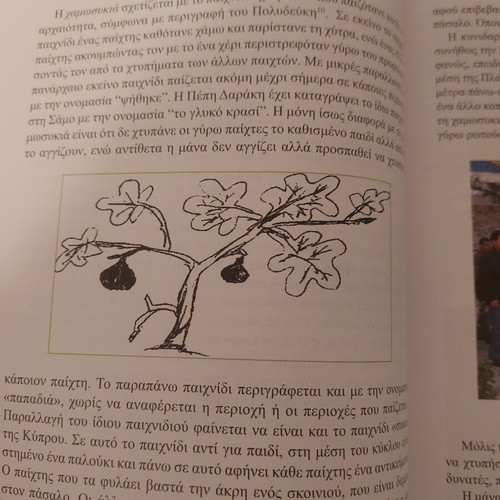 Oli i Zoi Paixnidi like new