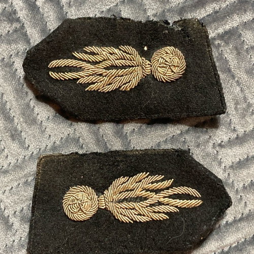 Interwar Military Insignia used