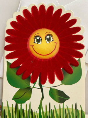 Greeting cards pack of 14 small pieces like new