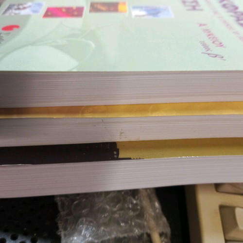 Expression and Essay books like new, pack of 3, Grade 10