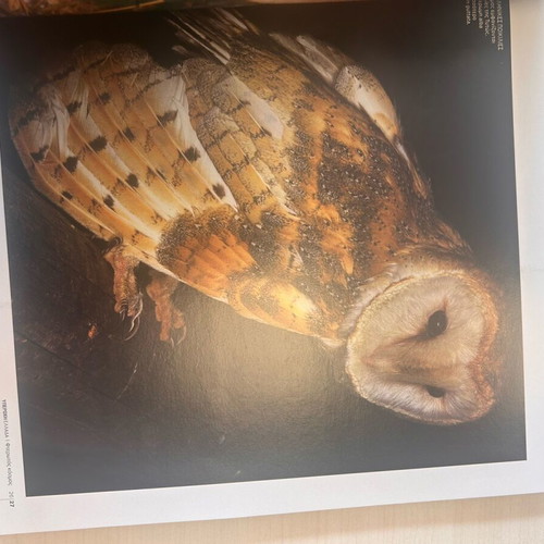 Nature Explore Feathered World book new with lens by Giorgos Avagianou