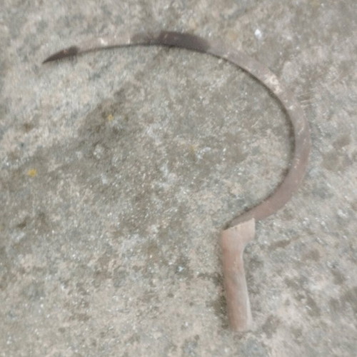 Sickle like new with wooden handle, 40 cm length