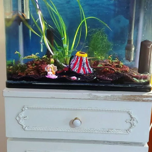 Aquarium 75 liters like new with live plants and accessories