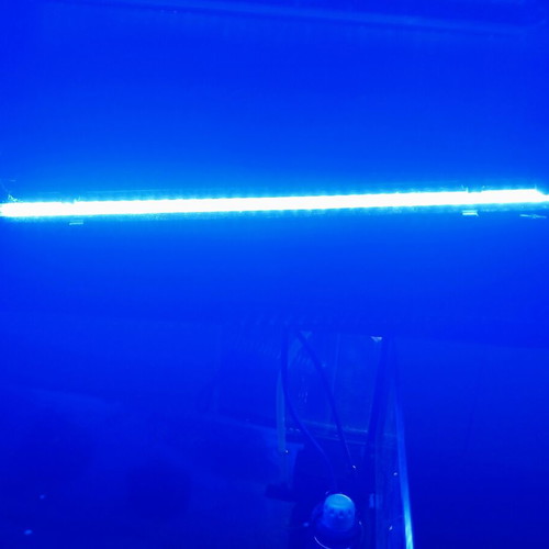 Led aquarium lamp 40cm blue 2 watt, like new, waterproof