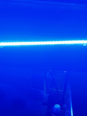 Led aquarium lamp 40cm blue 2 watt, like new, waterproof