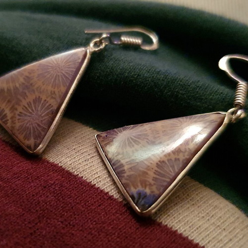 Triangular fossil coral earrings silver handmade