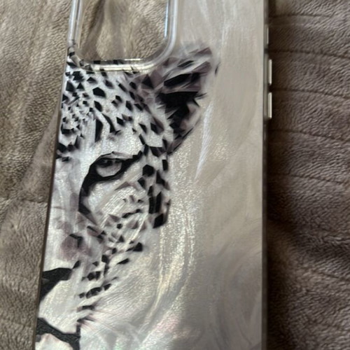 iPhone 13 Pro Max case like new
