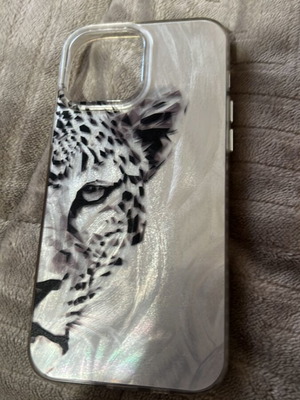 iPhone 13 Pro Max case like new