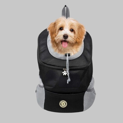 Portable dog and cat backpack new, mesh fabric