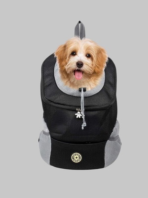 Portable dog and cat backpack new, mesh fabric