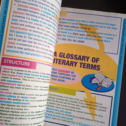 KS3 Success Visual Revision Guide English Levels 4-7 like new
