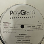 Tears For Fears / Man Parrish / The Maisonettes Change Maxi Single