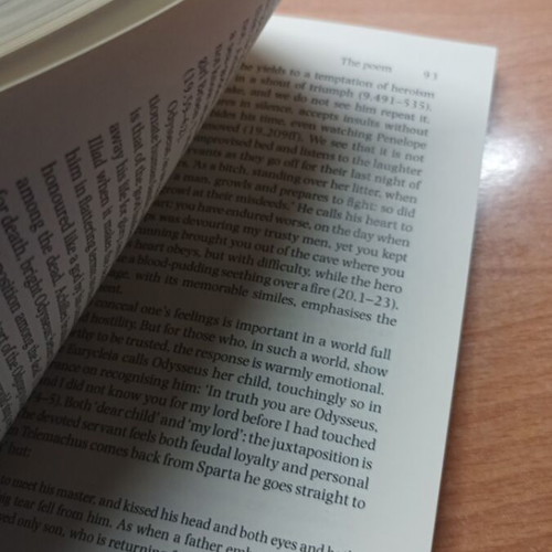 Homer The Odyssey Second Edition book like new