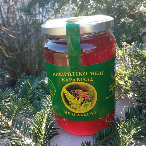 Forest honey new, pack of 3 kilos from Epirus