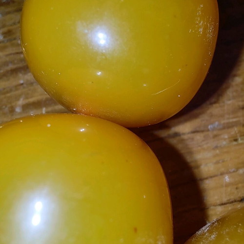 Worry beads used, large heavy bakelite paste komboloi