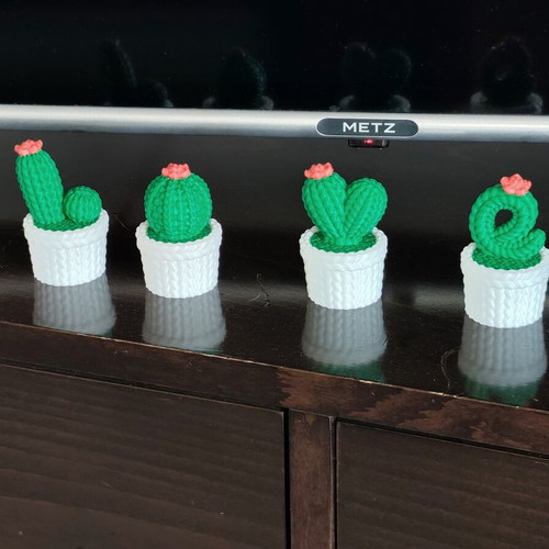 3D-Printed Mini Cactus Set Love, new