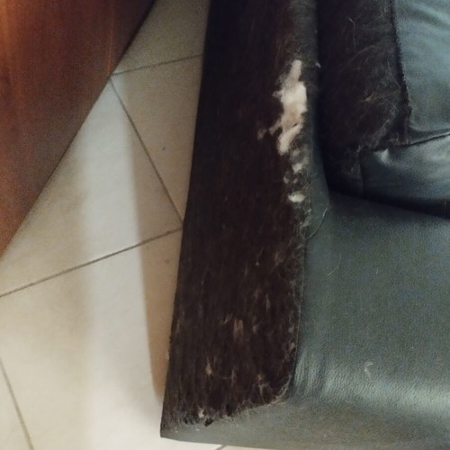 IKEA ASKEBY leather sofa bed with small back opening