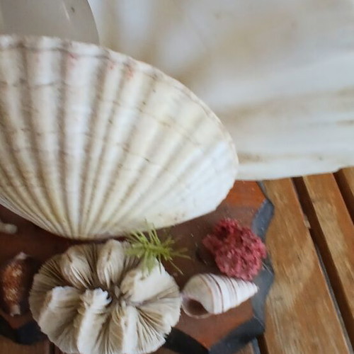 Decorative lamp with seashells from Aruba, vintage