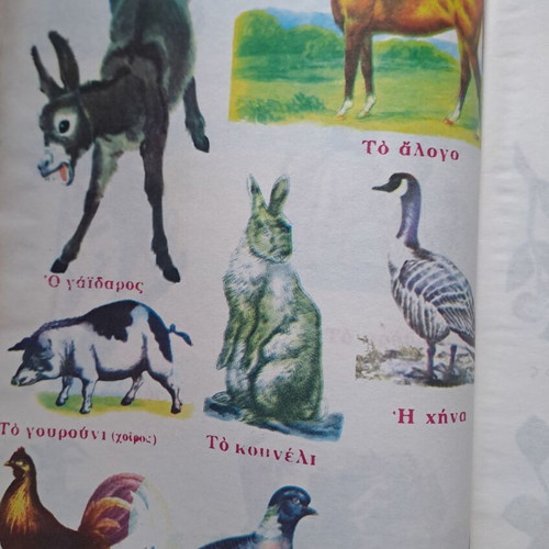 Vintage Zoology and Natural History Notebooks like new, set of 2