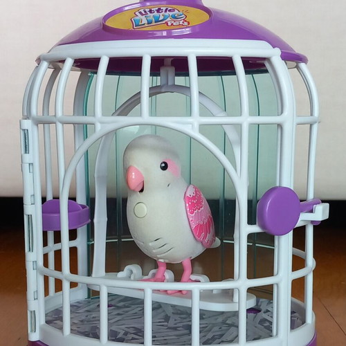 Talking Parrot toy like new with lockable cage