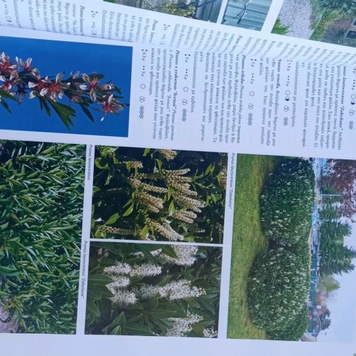 Garden and plants like new, missing DVD