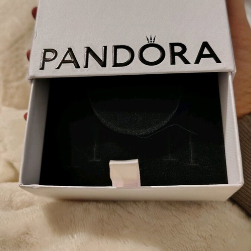 Pandora paper jewelry storage box new